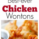 Chicken wontons