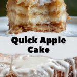 Quick Apple Cake