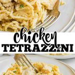 The Best Chicken Tetrazzini Recipe