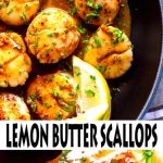 Lemon Butter Scallops Recipe
