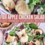 Fuji Apple Chicken Salad (Panera Bread Copycat)