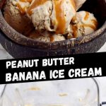 Peanut Butter Banana Ice Cream(vegan)