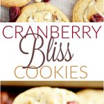 Cranberry Bliss Cookies Recipe