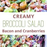 Broccoli-Bacon-Cranberry-Salad