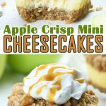 Apple Crisp Mini Cheesecakes