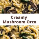 Creamy Mushroom Orzo