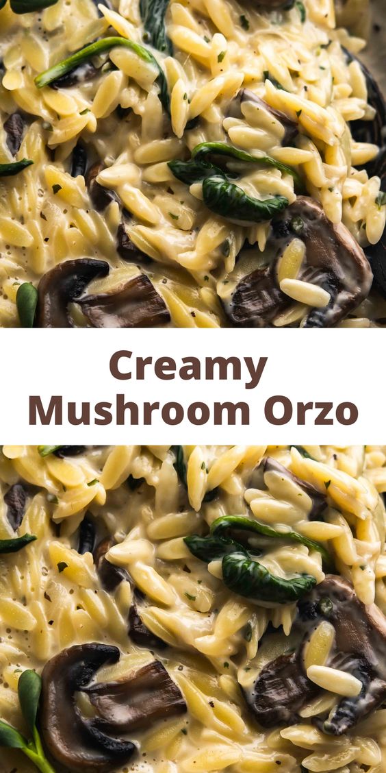 Creamy-Mushroom-Orzo