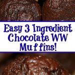 Easy 3 Ingredient Chocolate Weight Watchers Muffins Recipe