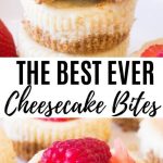 Best-Ever-Mini-Cheesecake-Bites