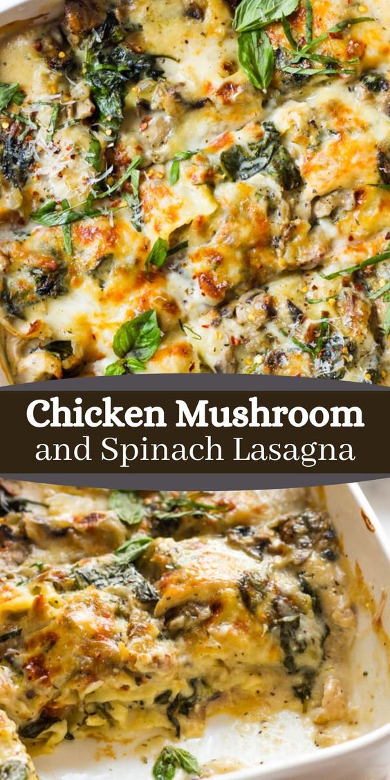 Chicken-Mushroom-and-Spinach-Lasagna