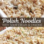 Polish Noodles with Sour Cream & Onions