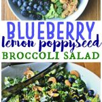 Blueberry Lemon Poppyseed Broccoli Salad