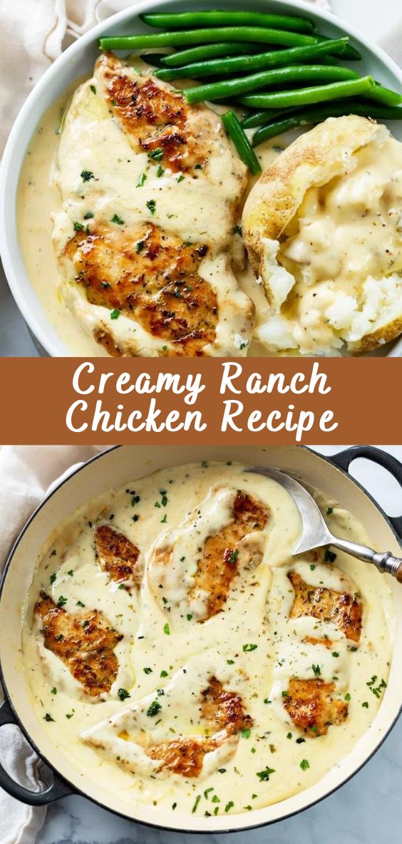 Chicken pieces in a thick creamy ranch sauce in a frying pan, decorated with fresh herbs, close-up with an emphasis on the texture of the sauce.