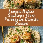 Close-up view of seared scallops laid over creamy Parmesan risotto, garnished with lemon zest and herbs.