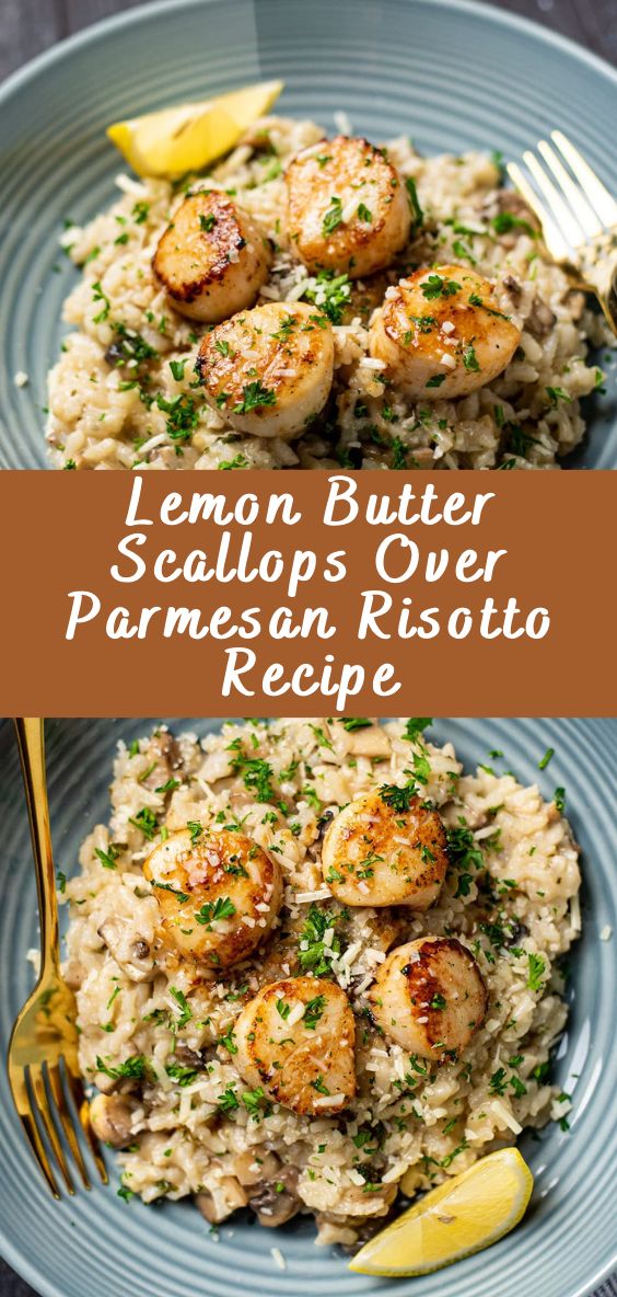 Close-up view of seared scallops laid over creamy Parmesan risotto, garnished with lemon zest and herbs.