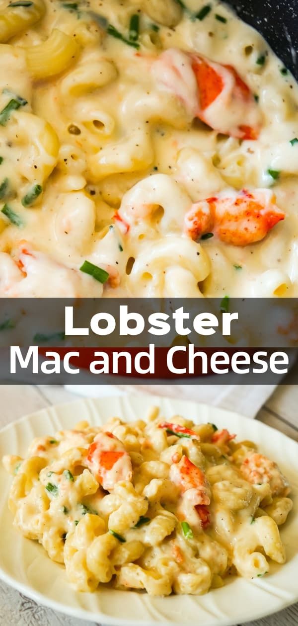 A deep bowl of creamy macaroni and cheese, topped with large chunks of juicy lobster, with a soft, golden sheen and a deliciously creamy texture.