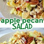 A salad made with fresh apples, pecans, and raisins, neatly mixed and served in a deep serving bowl.