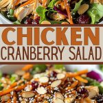Homemade chicken and cranberry salad, close-up