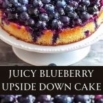 sliced ​​blueberry cake with berry filling